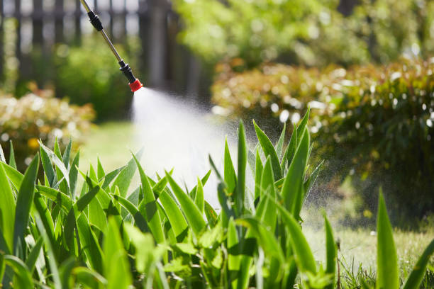 Tamper-Resistant Bait Stations for Rodents in South Gate