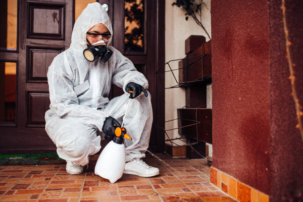 Attic and Crawl Space Rodent Treatment in South Gate